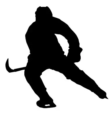 What Is A Slew Foot In Hockey? Definition & Meaning On SportsLingo