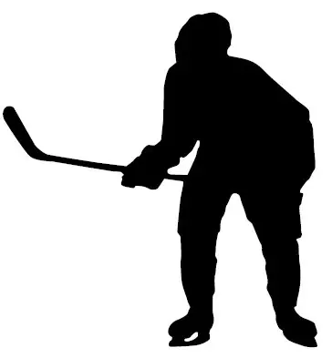 What Is A Goon In Hockey? Definition & Meaning
