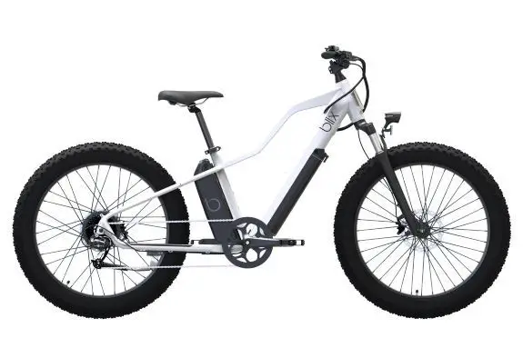 5 Recommended Electric Blix Bikes For Every Type Of Rider