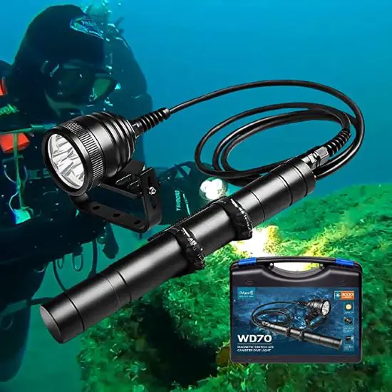 17 Of The Best Dive Lights For Night Diving & Underwater Adventures