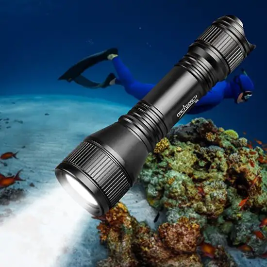 17 Of The Best Dive Lights For Night Diving & Underwater Adventures