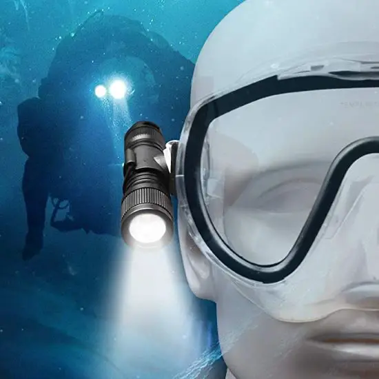 17 Of The Best Dive Lights For Night Diving & Underwater Adventures