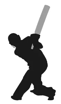 What Is A Cow Shot In Cricket? Definition & Meaning On SportsLingo.com