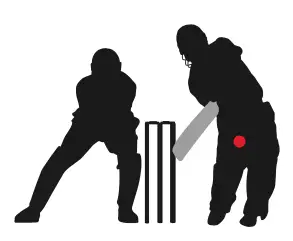 What Is A Timed Match In Cricket? Definition & Meaning On SportsLingo