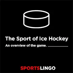 Ice Hockey Basics - An Overview Of Hockey On SportsLingo